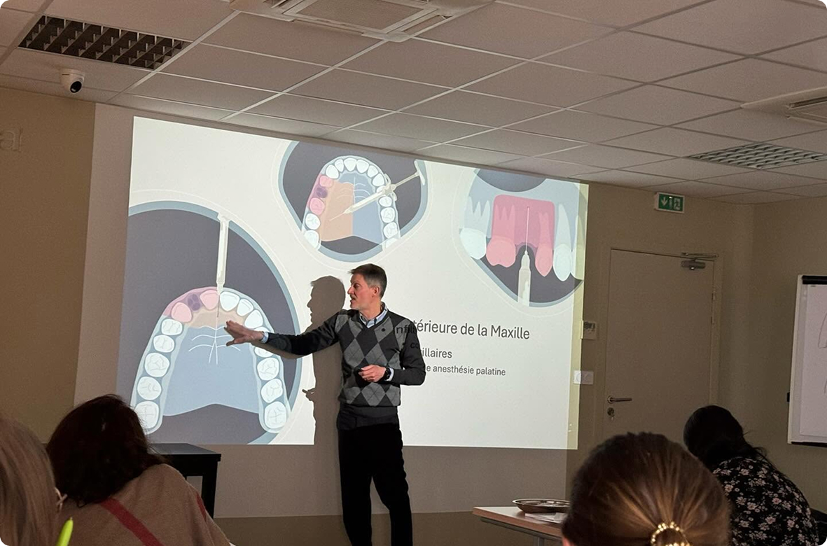 Session théorique du module 1, anatomie des maxillaires
