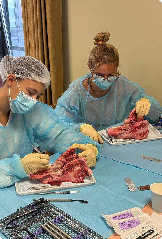 Atelier de chirurgie plastique parodontale, module 5
